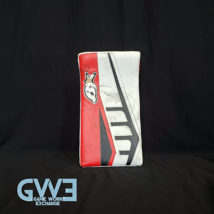 Craig Anderson Goalie Glove and Blocker 2015-2016 Ottawa Senators