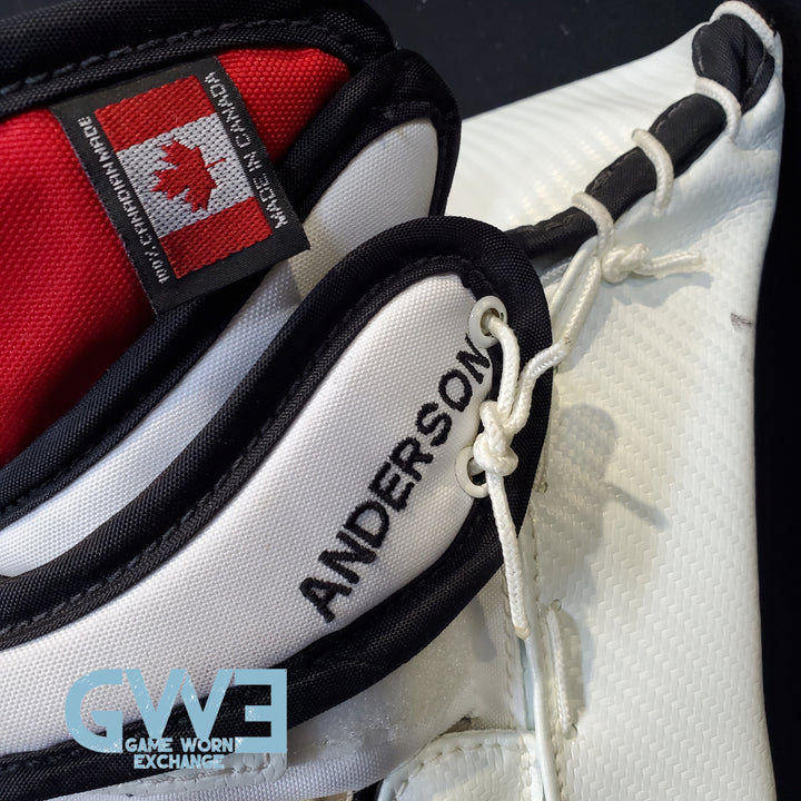 Craig Anderson Goalie Glove and Blocker 2015-2016 Ottawa Senators