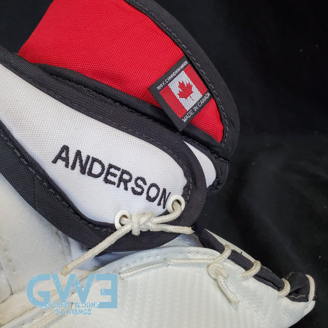 Craig Anderson Goalie Glove and Blocker 2015-2016 Ottawa Senators