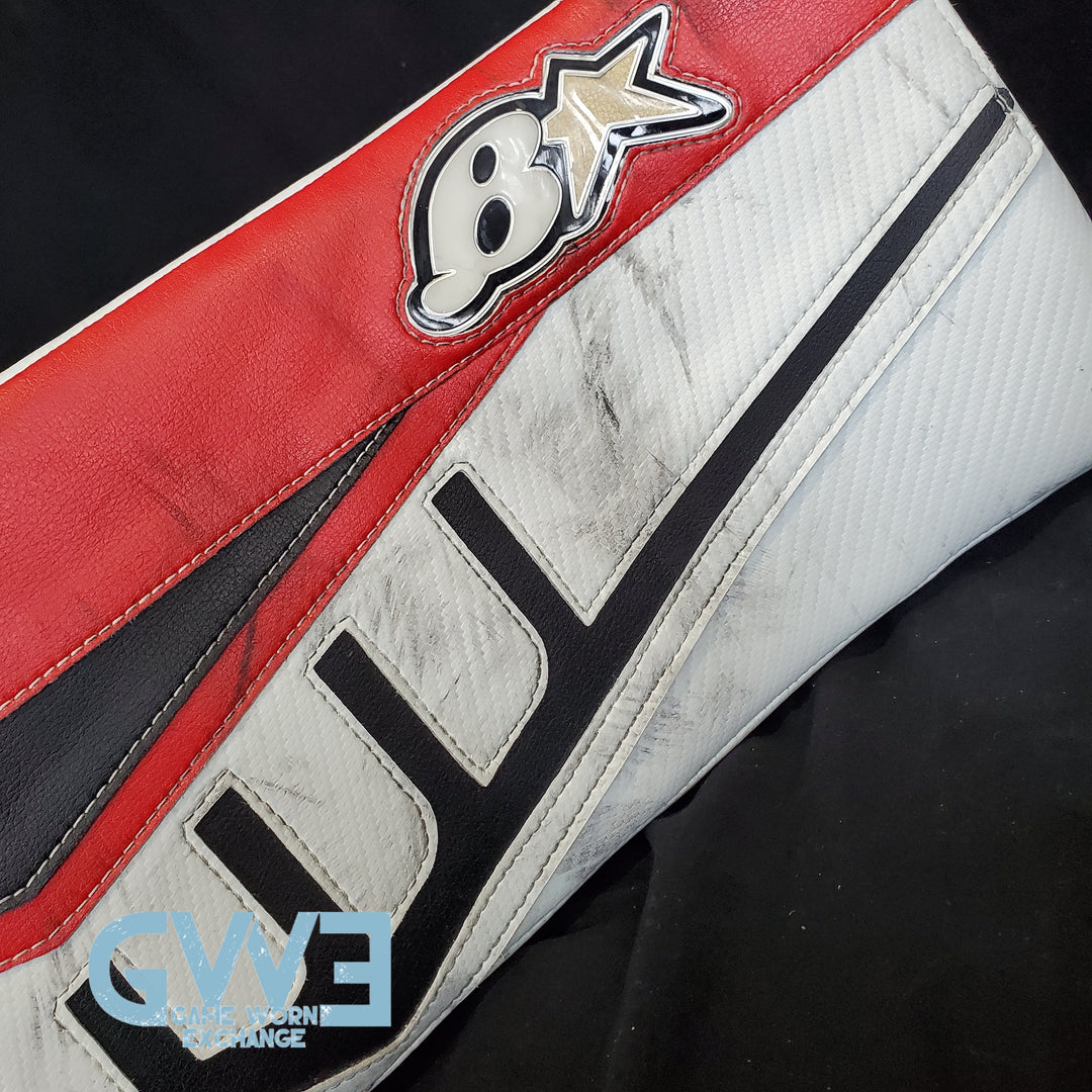 Craig Anderson Goalie Glove and Blocker 2015-2016 Ottawa Senators