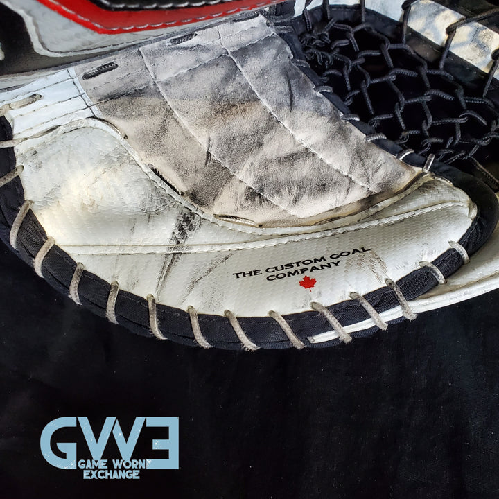 Craig Anderson Goalie Glove and Blocker 2015-2016 Ottawa Senators