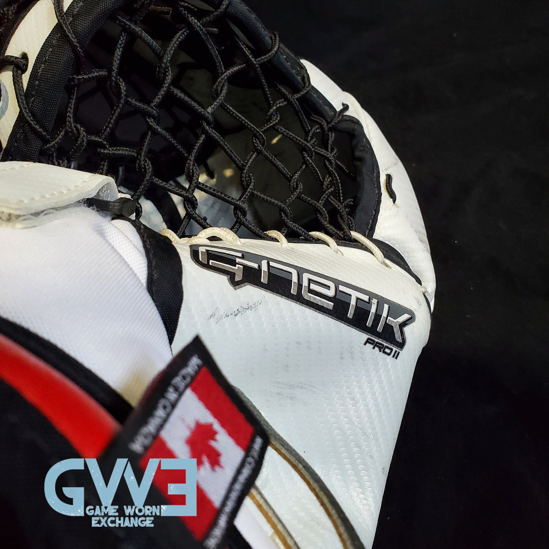 Craig Anderson Goalie Glove and Blocker 2015-2016 Ottawa Senators