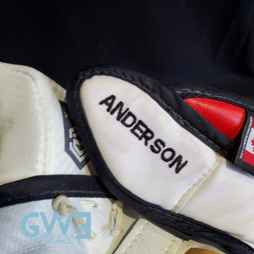 Craig Anderson Goalie Glove and Blocker 2015-2016 Ottawa Senators