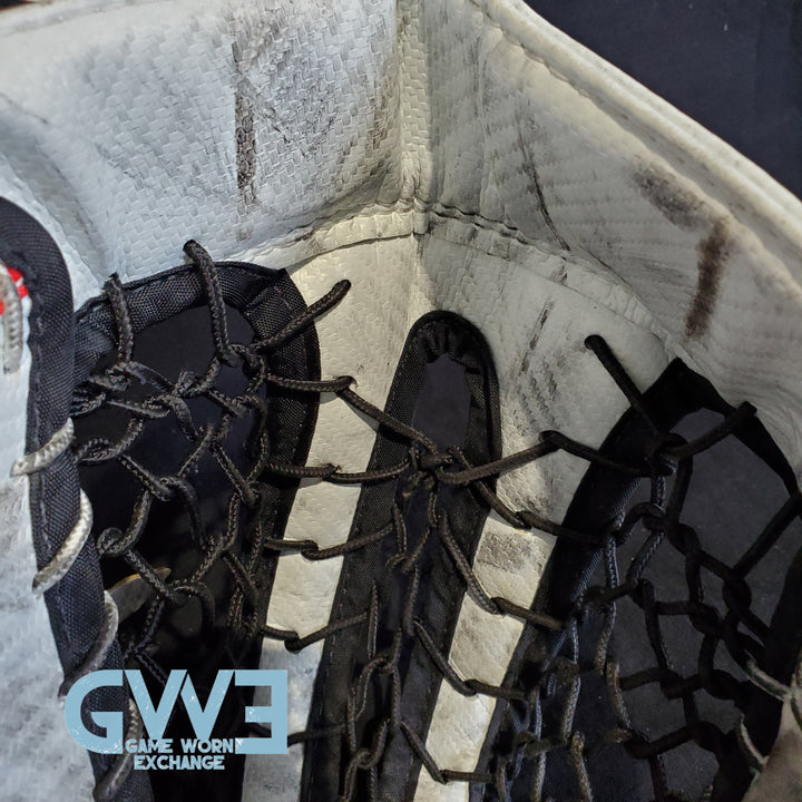 Craig Anderson Goalie Glove and Blocker 2015-2016 Ottawa Senators