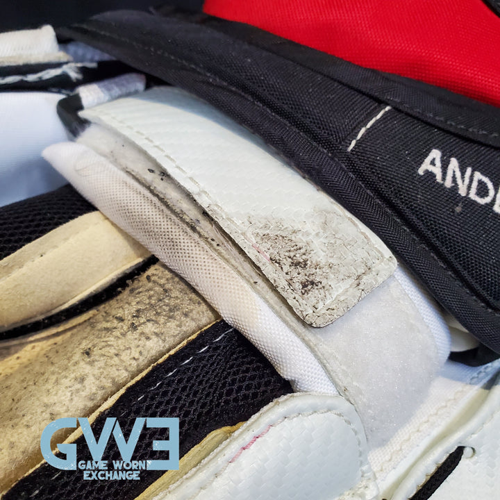 Craig Anderson Game Worn Used Goalie  Glove And  Blocker  2014-15 Ottawa Senators