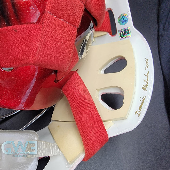 Curtis Joseph Game Issued Goalie Mask Detroit Red Wings Pro's Choice Dom Malerba 2002 Signed By Curtis Joseph - AS-01026
