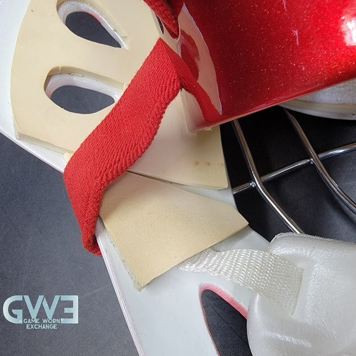 Curtis Joseph Game Issued Goalie Mask Detroit Red Wings Pro's Choice Dom Malerba 2002 Signed By Curtis Joseph - AS-01026