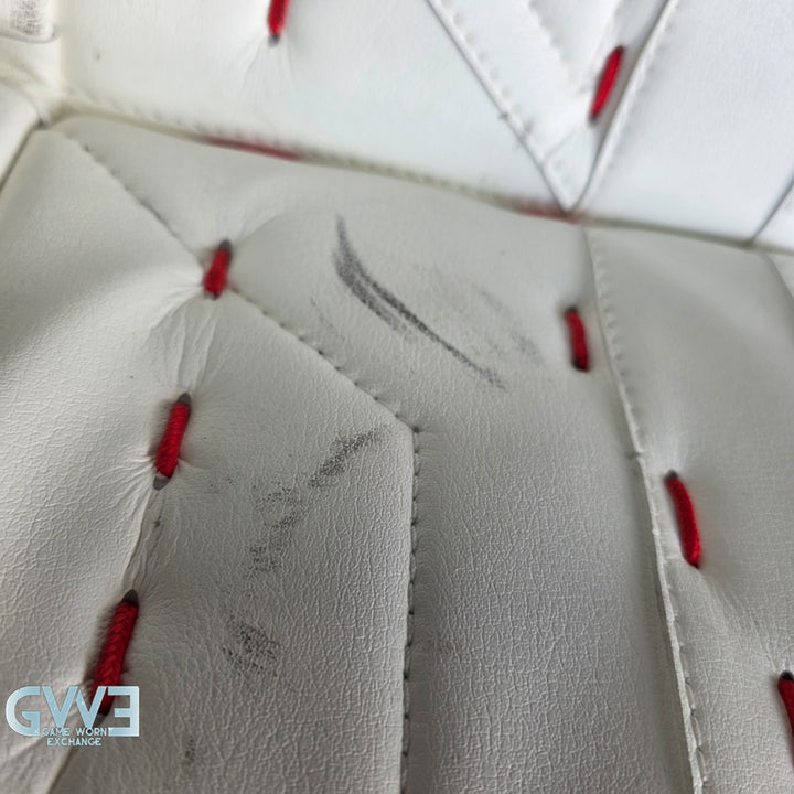 Sergei Bobrovsky Game Used Goalie Pads 2023-24 Stanley Cup Winning Season Florida Panthers Autographed Signed True Lefevre HRZDUS PX4 AS-03241